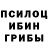 Псилоцибиновые грибы мицелий Paul Dominguez