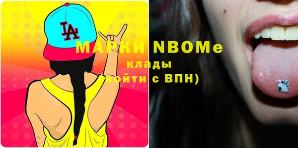 шишки Балахна