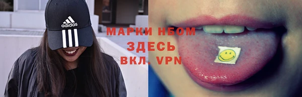 шишки Балахна