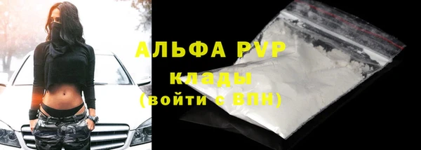 шишки Балахна