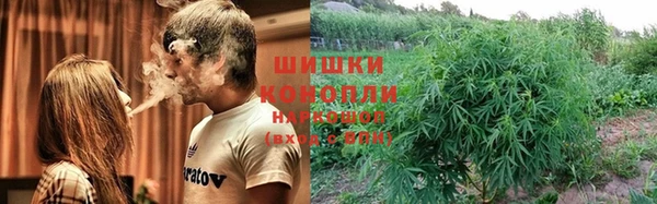 шишки Балахна