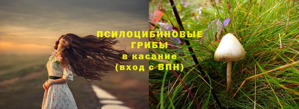 spice Баксан