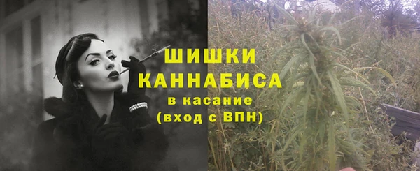 шишки Балахна