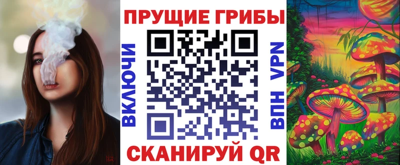 Псилоцибиновые грибы Psilocybe  Белёв 